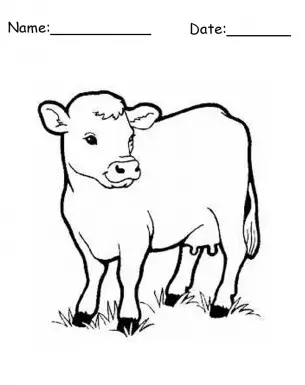 cow printable coloring pages