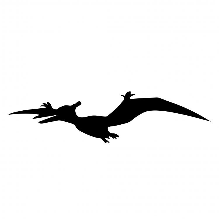 Printable flying dinosaur Stencils