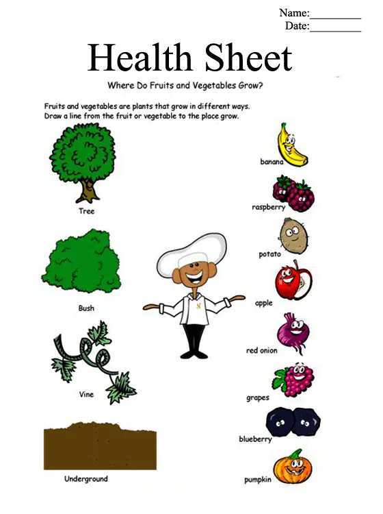 food health printable worksheets