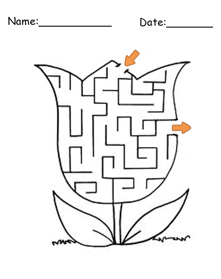 Mazes: Maze Games download the last version for apple