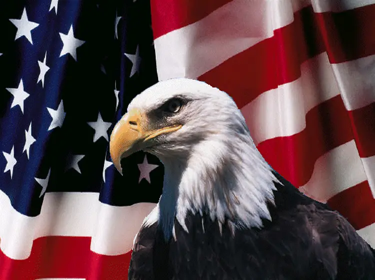 Printable Bald Eagle Picture