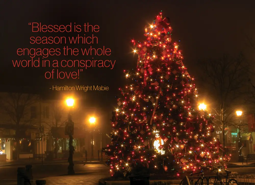 Conspiracy of Love - Christmas Quote