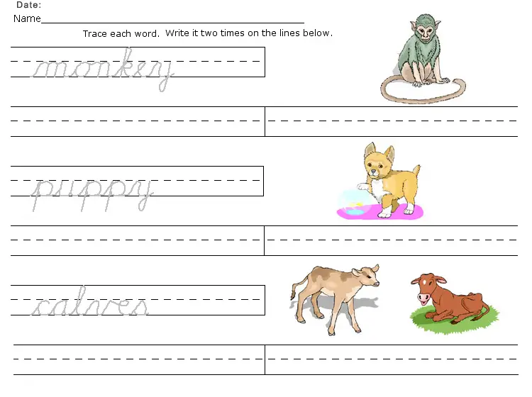 Monkey Worksheet