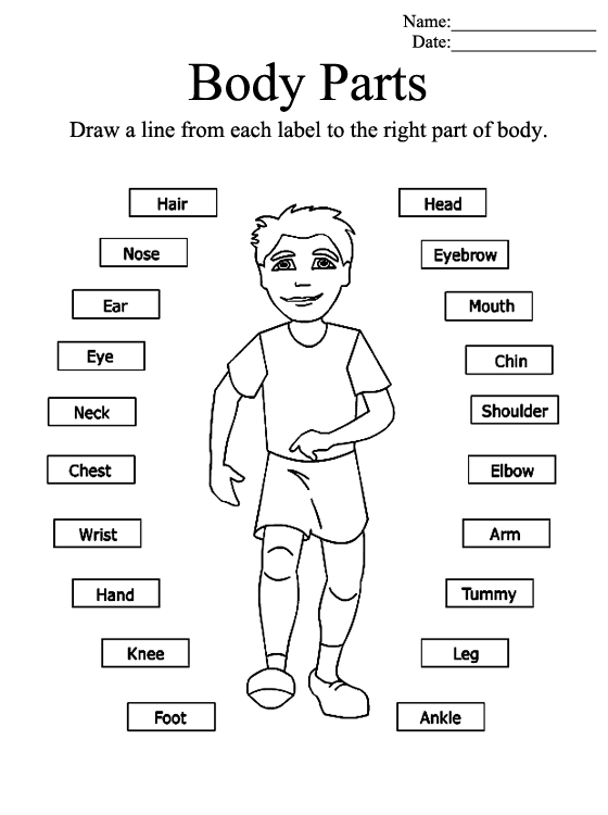 pin-on-science-worksheets-parts-of-the-body-online-exercise-for